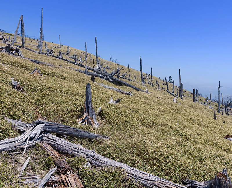 藤沢の歯医者で根管治療